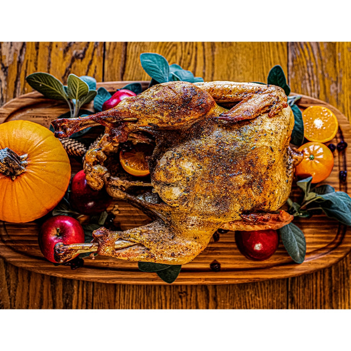 Feathered Feast Turkey Dinner