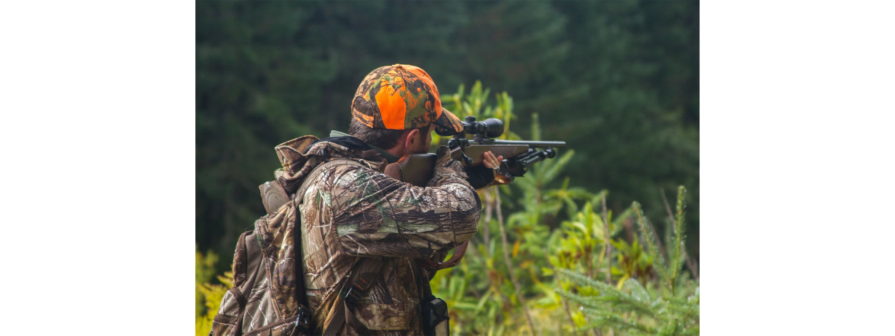 Back to the Basics: Mastering Deer Hunting