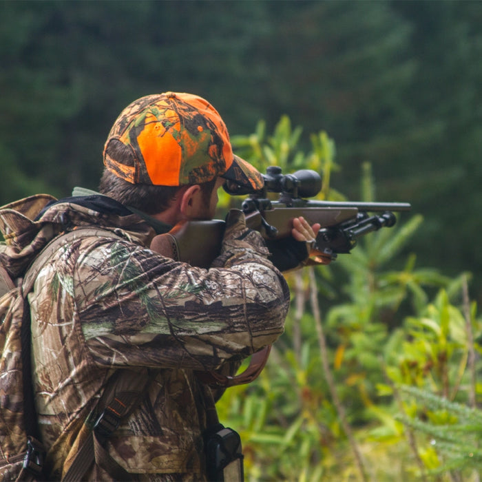 Back to the Basics: Mastering Deer Hunting