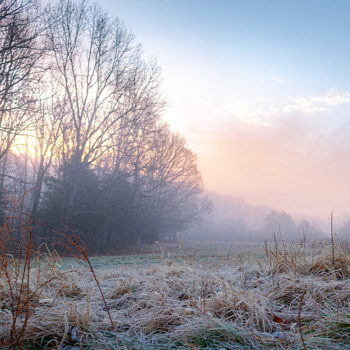 Frost Seeding: The Smart Way to Establish Food Plots