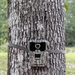 WiseEye DC-2 No Glow Wildlife Camera