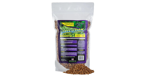 Seclusion Sorghum Seed